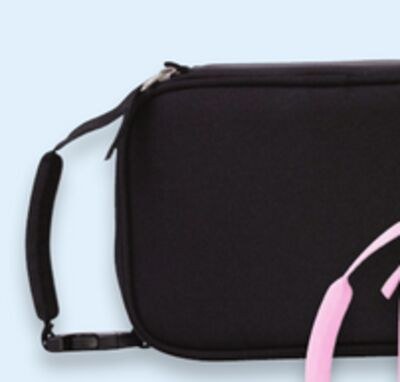 Insulated lunch bag