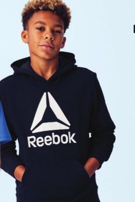 Reebok Game Day hoodie