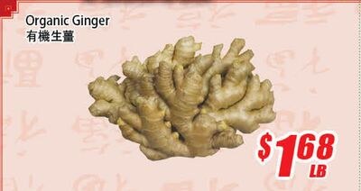Organic Ginger