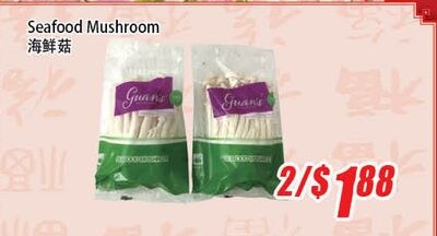 Seafood Mushroom