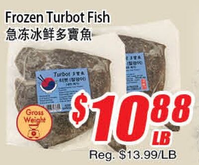 Frozen Turbot Fish