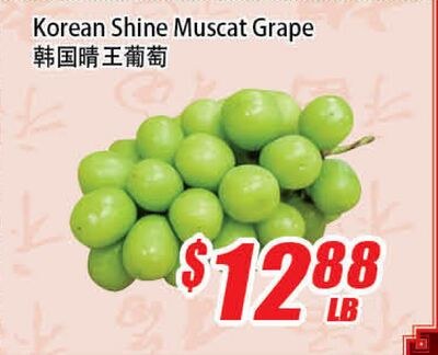 Korean Shine Muscat Grape