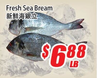 Fresh Sea Bream