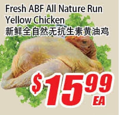 Fresh ABF All Nature Run Yellow Chicken