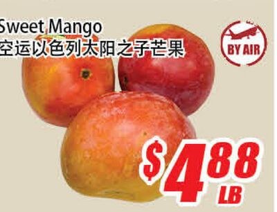 Sun Mango