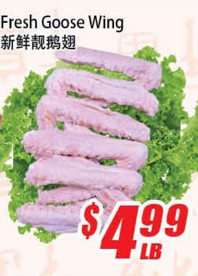 Fresh Goose Wing