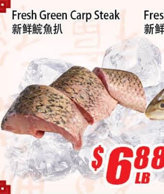 Fresh Green Carp Steak