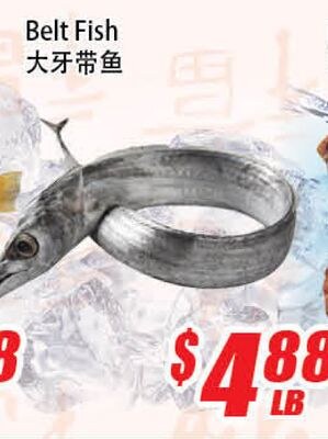 Belt Fish