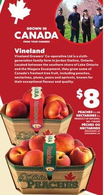 PEACHES 3 L OR NECTARINES 2 L