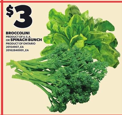 BROCCOLINI OR SPINACH BUNCH