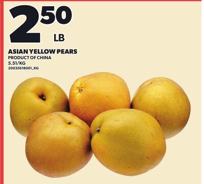 ASIAN YELLOW PEARS