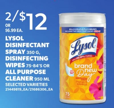 LYSOL DISINFECTANT SPRAY, 350 G, DISINFECTING W…
