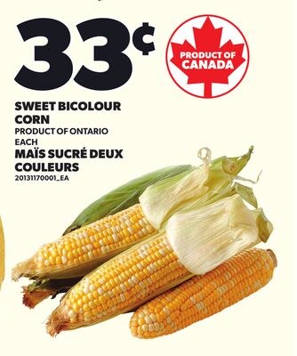 SWEET BICOLOUR CORN