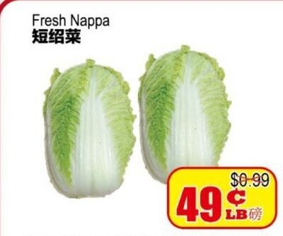 Fresh Nappa