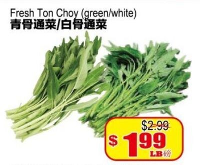 Fresh Ton Choy (green/white)