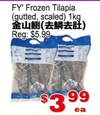 FY Frozen Tilapia