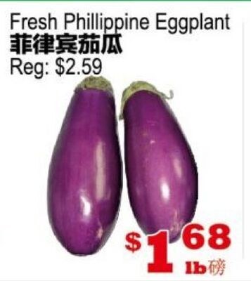 Fresh Phillipine Eggplant