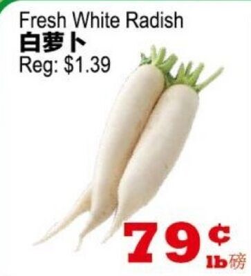 Fresh White Radish