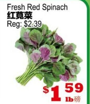 Fresh Red Spinach