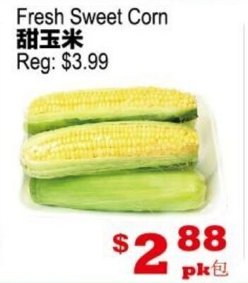 Fresh Sweet Corn