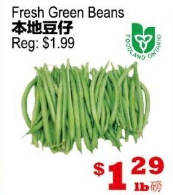 Fresh Green Beans
