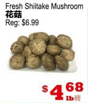 Fresh Shiitake Mushroom