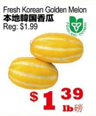 Fresh Korean Golden Melon