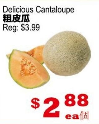 Delicious Cantaloupe