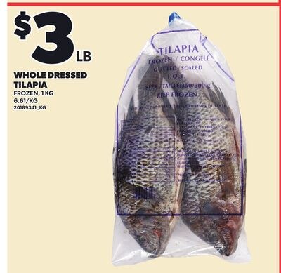 WHOLE DRESSED TILAPIA, 1 KG