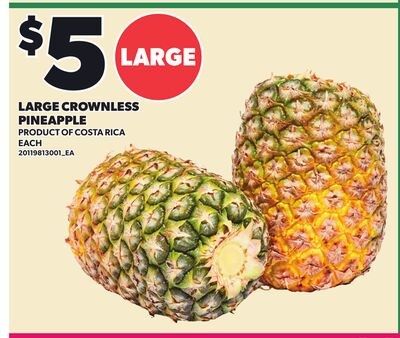 LARGE CROWNLESS PINEAPPLE