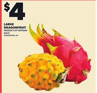 LARGE DRAGONFRUIT