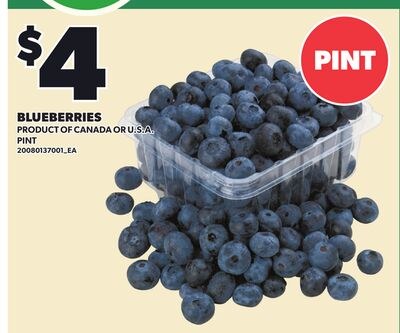 BLUEBERRIES, PINT