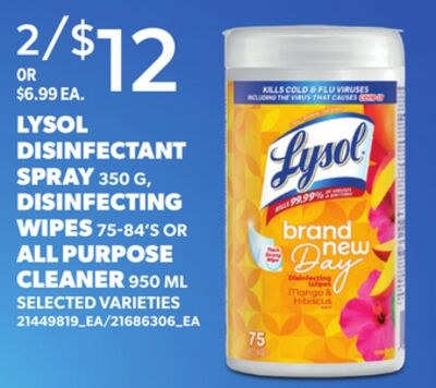 LYSOL DISINFECTANT SPRAY 350 G, DISINFECTING WI…