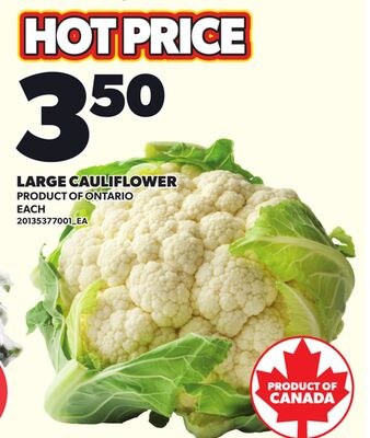 LARGE CAULIFLOWER
