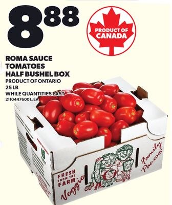 ROMA SAUCE TOMATOES