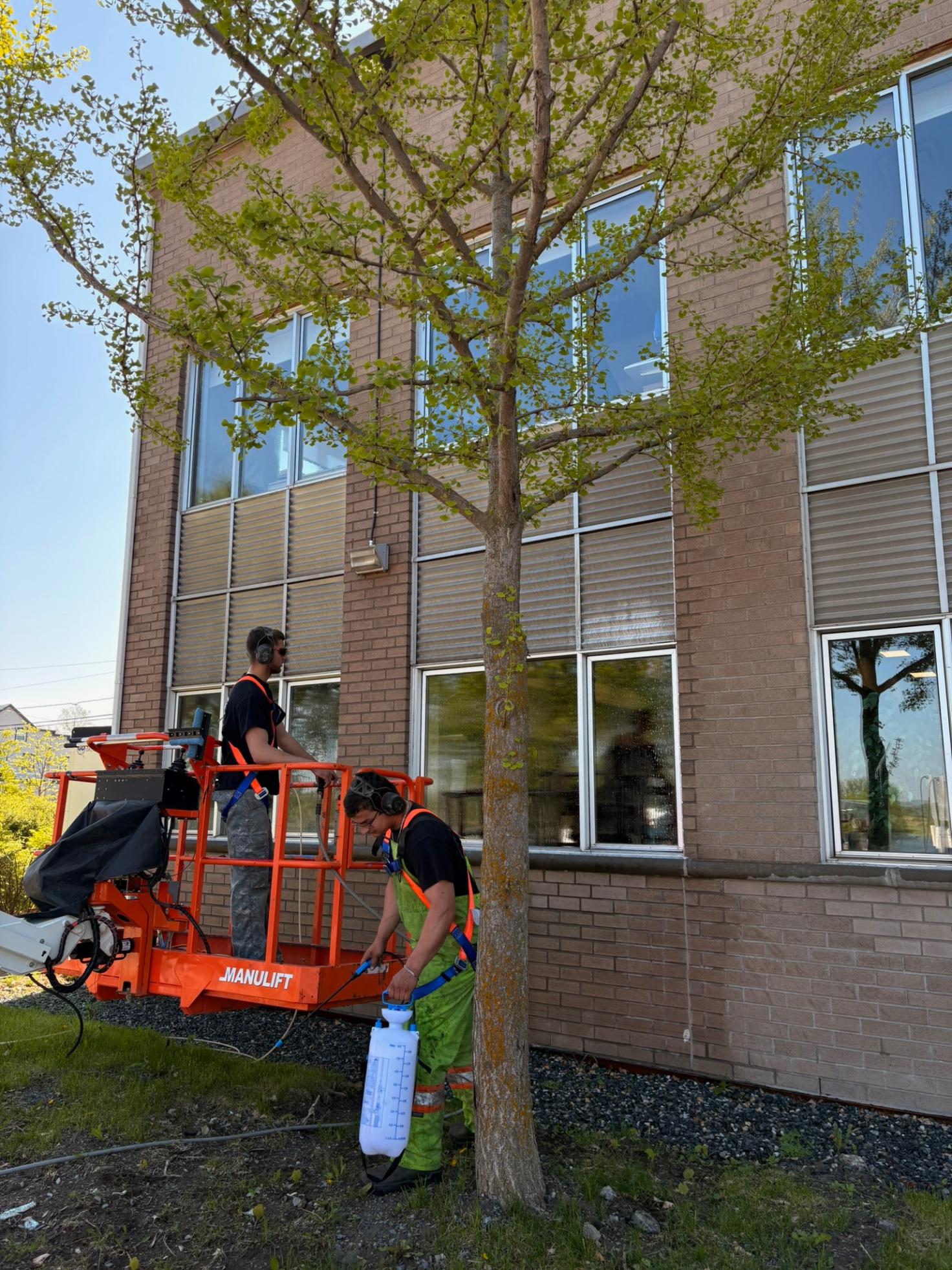 Essential Package — residential exterior cleaning