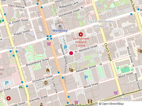 Location of Steven Stauffer at 37 Maitland St, Toronto