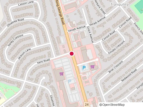 Location of Brantford Veterinary Clinic at 277 King George Rd, Brantford