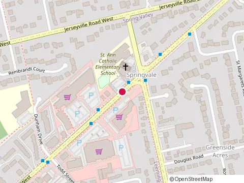 Location of Carte Financial Services Inc: Lynda Kaufmanis at 301-81 Wilson St W, Ancaster