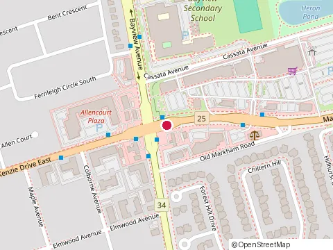 Location of E-Firm Cpa Professional Corporation at 815 Major Mackenzie Dr., Richmond Hill