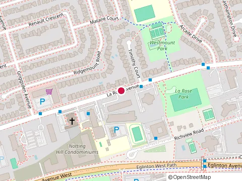 Location of Satotax Inc. at 140 la Rose Ave #203, Etobicoke