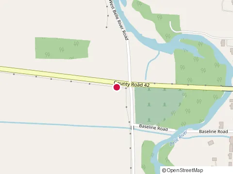 Location of Treesrus Experts at 154 County Road 14, Cottam