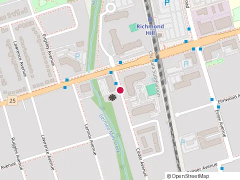 Location of Ts Better Living at 175 Cedar Ave, Richmond Hill