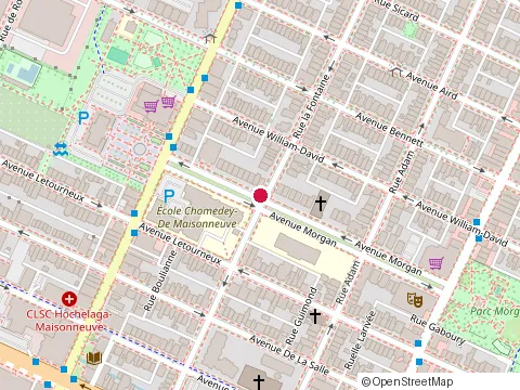Location of Bain Morgan at 1875 avenue Morgan, Montréal