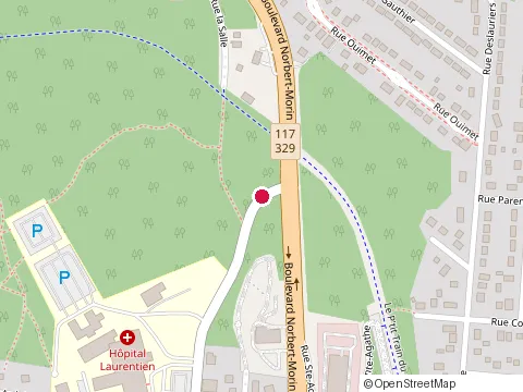 Location of Canadian Tire at le Carrefour 50 Boul Morin, Sainte-Agathe-des-Monts