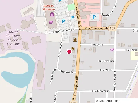 Location of Centre Financier aux Entreprises Desjardins at 100 Rue Principale S, Maniwaki