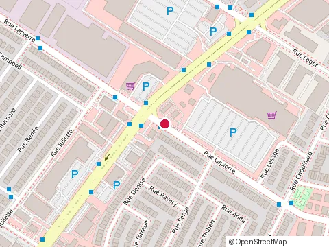 Location of Comptoir Pro Chez Rona+ at 2199 Rue Lapierre, LaSalle