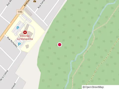 Emplacement de Metro Amqui au 30 Bd St Benoît E Local 10, Amqui