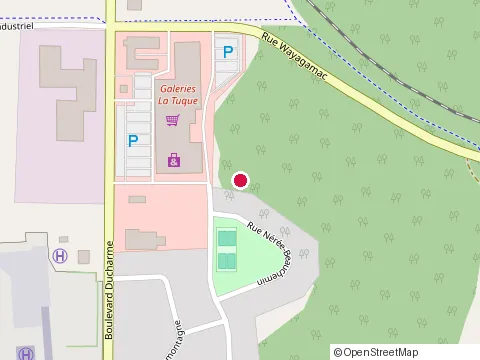 Location of Subway at 1200 Bd Ducharme, La Tuque