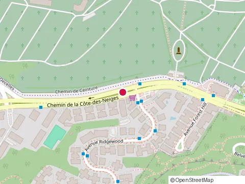 Location of Cote-des-Neiges Apartments at 4760 Chem. de la Côte-des-Neiges, Montréal